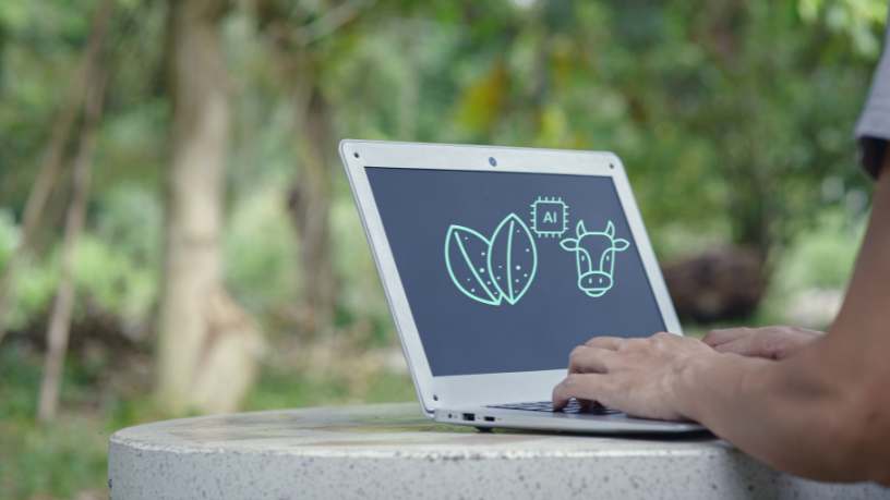 Guilherme Silva Ribeiro Campos